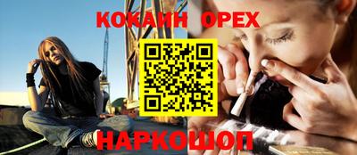индика Камышлов