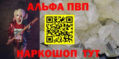 индика Камышлов